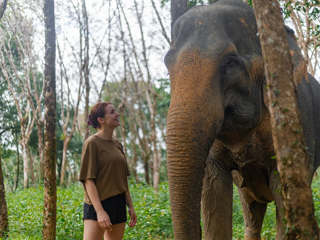 Observed Adventure Combo Program