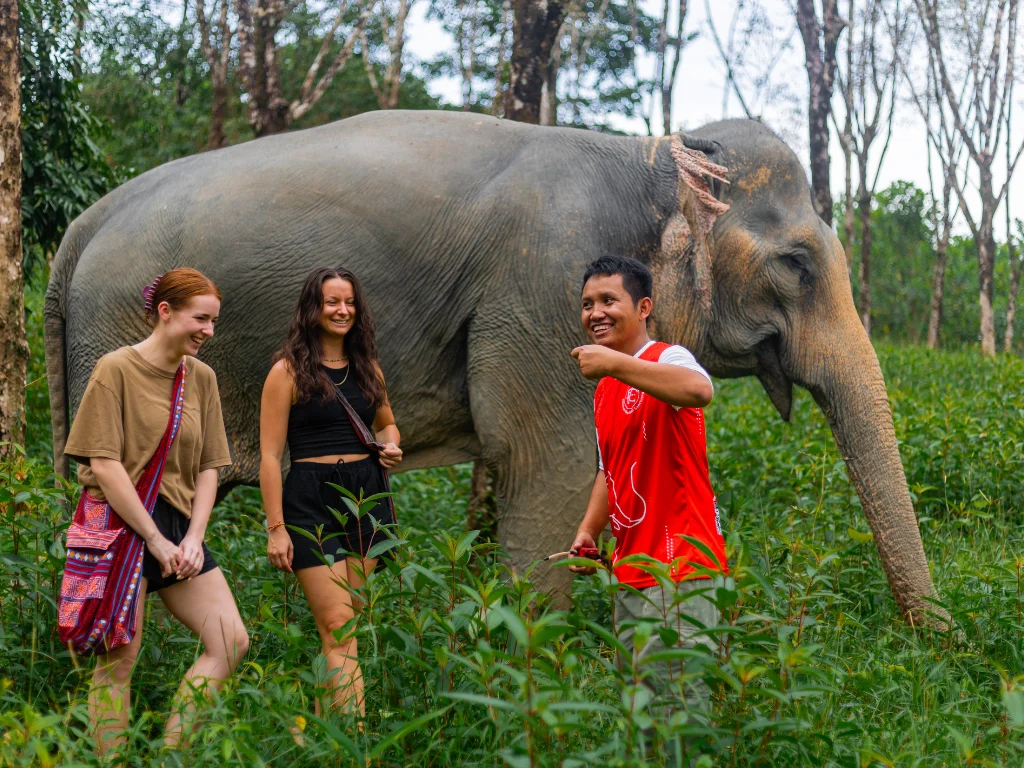 Private Tour Khaolak Elephant Sanctuary