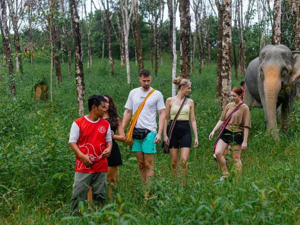 Ethical Elephant and Rubber Plantation