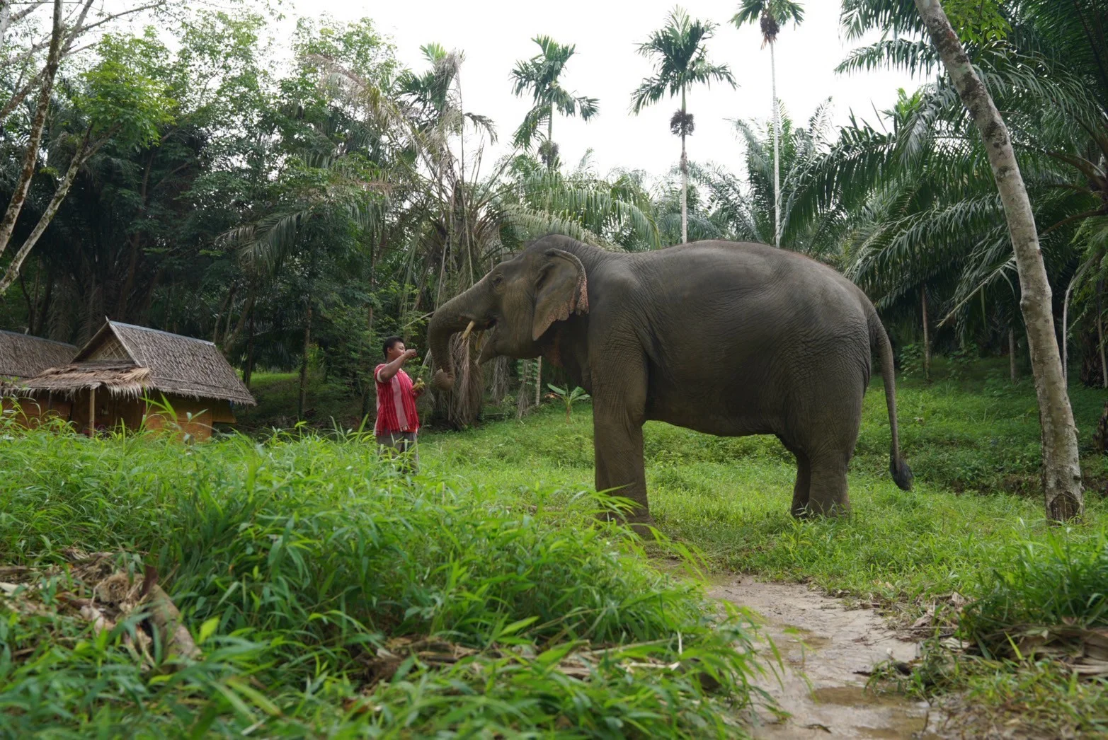 Responsible Tourism in Khao Lak