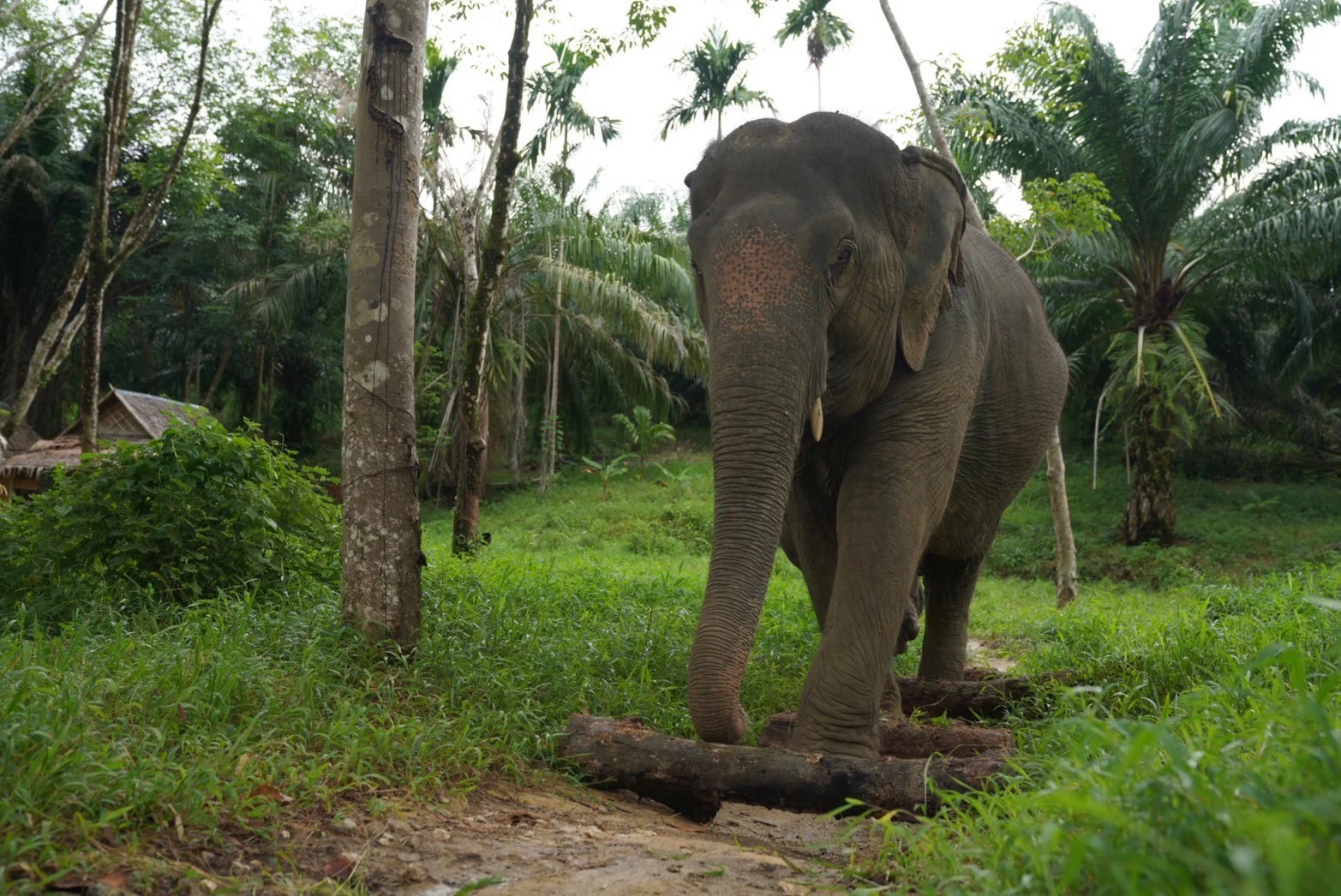 Small Group Tours Khao Lak